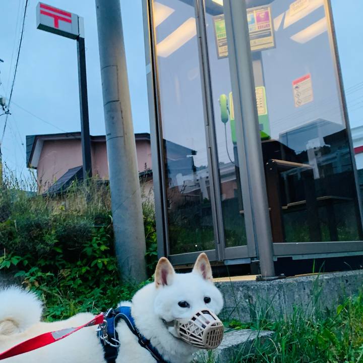 F54c92b1 8aa9 41c6 9fcd 6c547bb3d12a 1629231825930