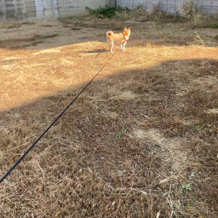 F54cc8a5 25da 49c0 b99a 9c58d35bcef1 1637146730672