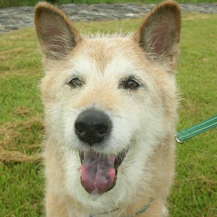 F54d0283 da80 4a9b a5ab 3471061a7f78 1565693035979