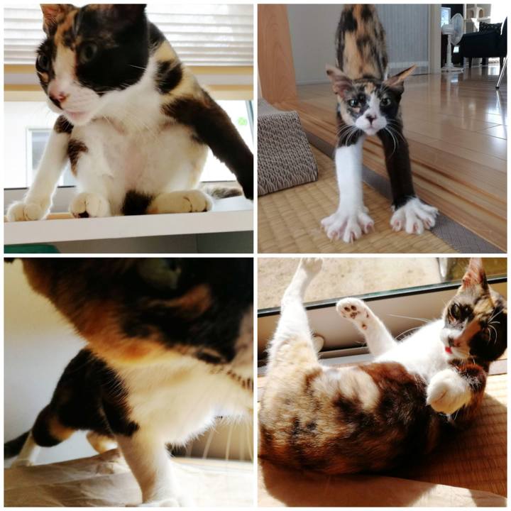 F54d0f2c 1e44 47ba a184 2e6727a1aec1 1595686123722