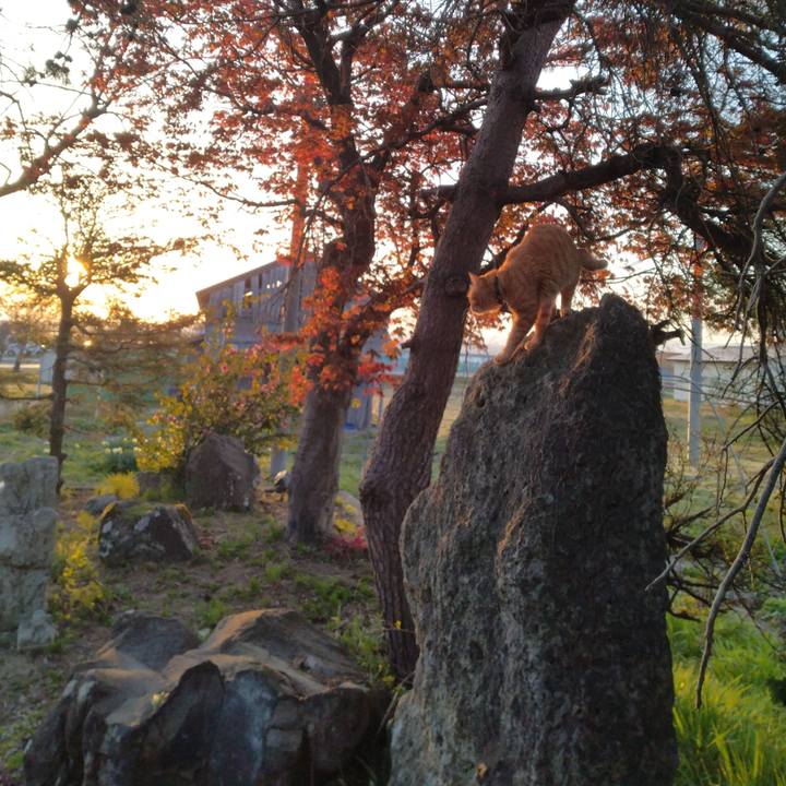 F54d13dd 6b96 4a22 87f0 43e15584a2c8 1682370044155