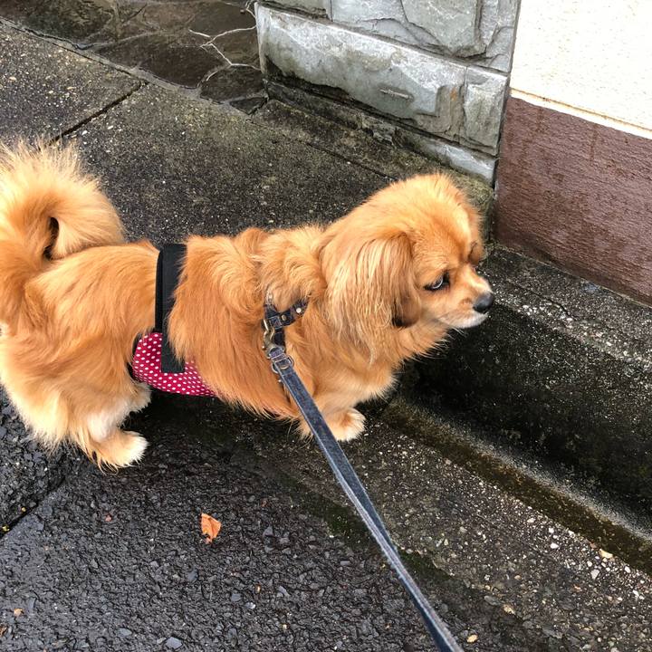 F54d2295 879f 4466 a0dc 1a332ad6c196 1530131895804