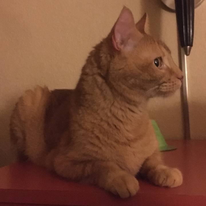 F54d2dae 34bc 4034 bb62 b51007651cc6 1633829174351