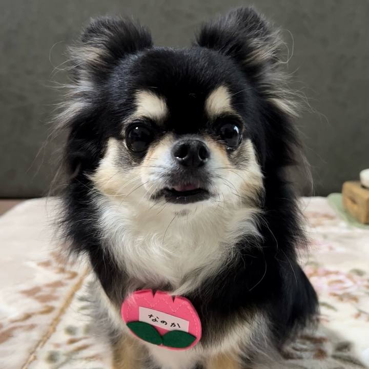 F54d3f2f bbe7 491a 931b 27a2b9e96708 1713873198042