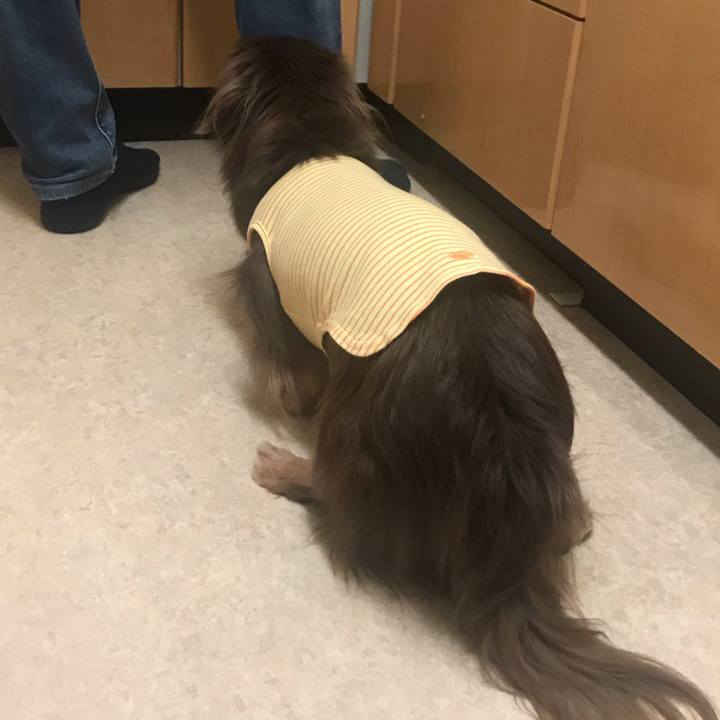 F54d633d 7d12 45b0 bdaa 942c2ec0fdab 1544260073433