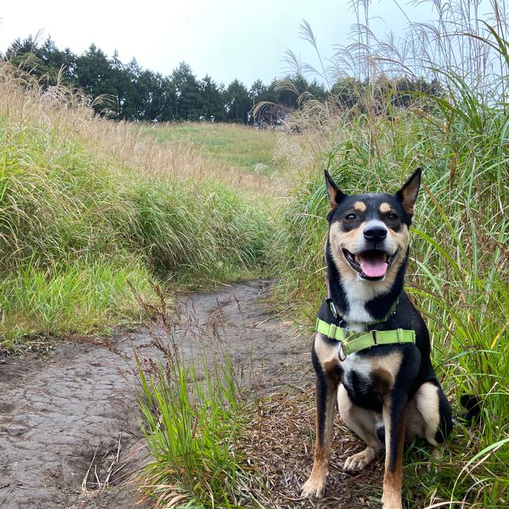 F54d645f f43a 48cf b501 0281e5137d72 1634172706475