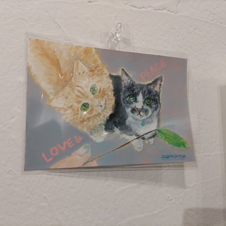 F54d6e4c 69af 4846 844b 18ab058350c8 1665740837064