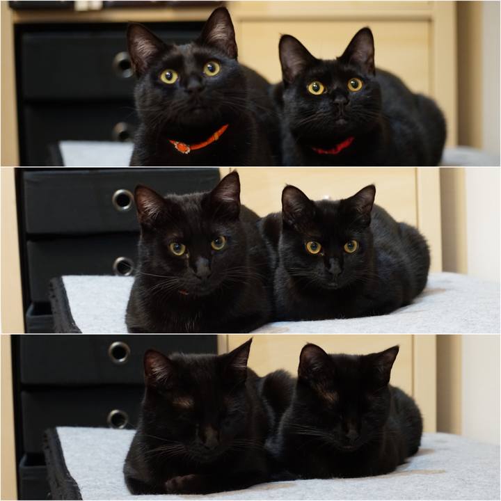 F54d6ed4 a8a5 416d b17f afa52bd1f619 1520259770043