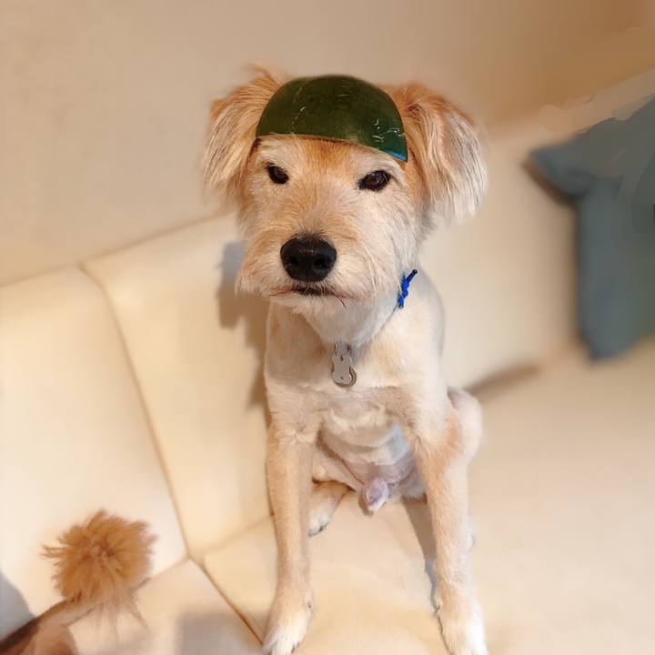 F54d8450 d935 4195 b8a9 9b8b805ccd3a 1595041314279