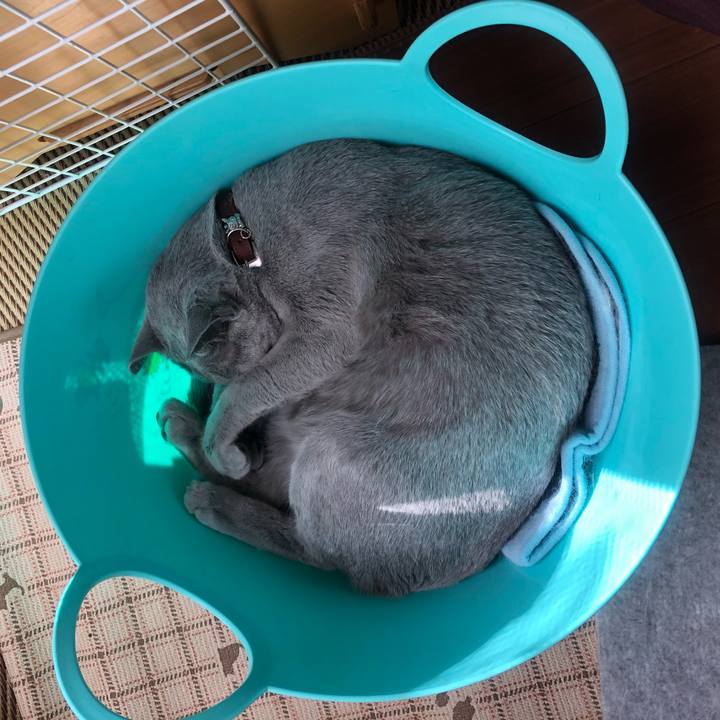 F54db7c1 985d 4dda b512 c5552f3da523 1550787235965