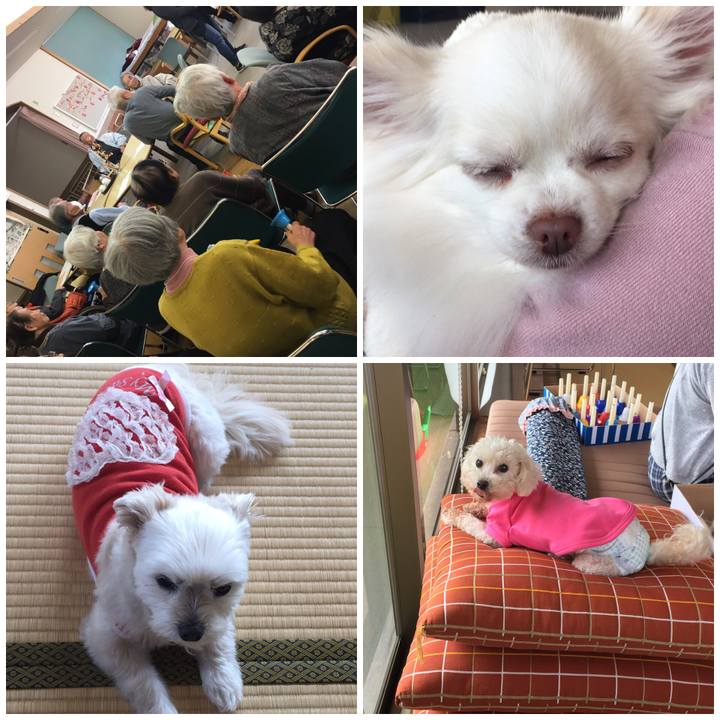 F54df10c e9e2 40c5 b54b b2072515f09a 1553232434780