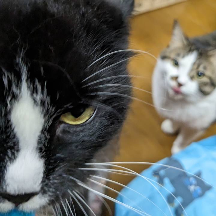 F54e3c32 e35b 4f69 ba2a 46dda8696517 1694950444966