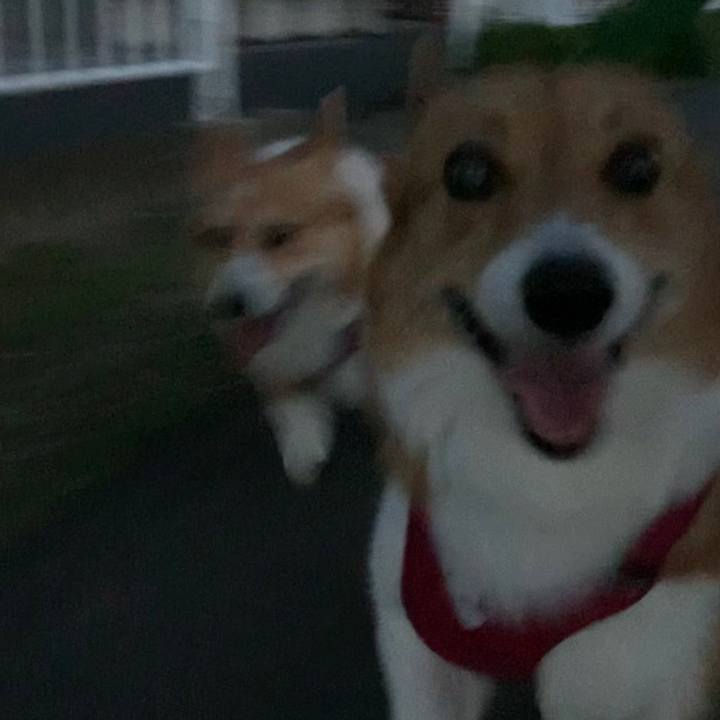 F54e3ebc 9467 4d65 a271 a52200d935d9 1653821673171