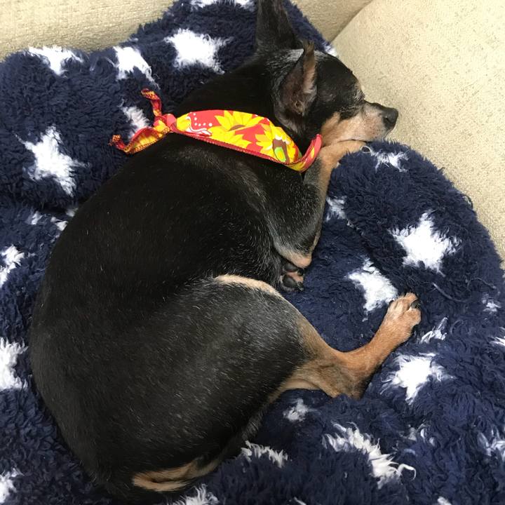 F54e41ed 2122 43c8 a5c7 2458688ad9bb 1566220642812