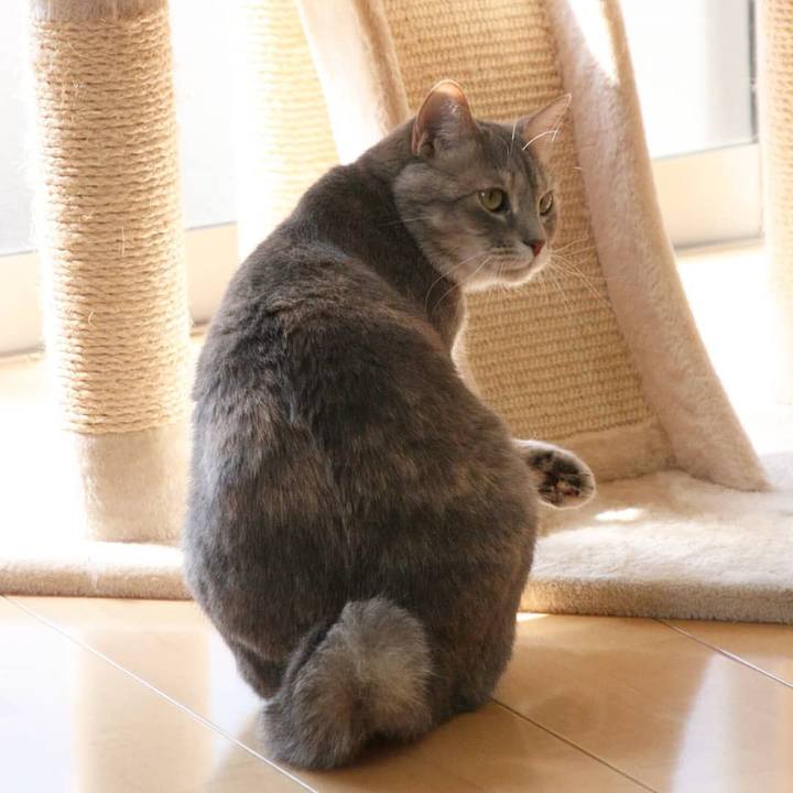 F54e4a31 267c 4cc8 a1ea 0e8b9c96b3eb 1557904760941