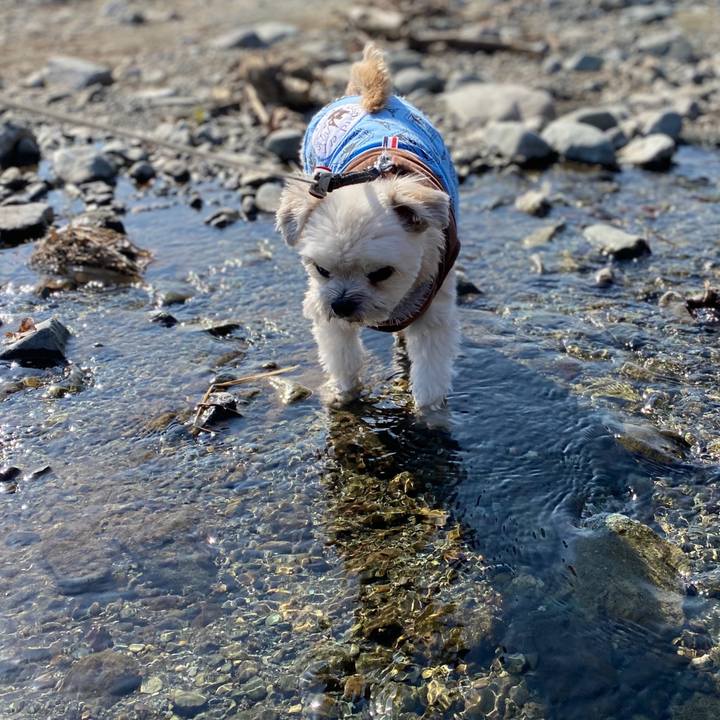 F54e92c3 25e0 45dc 8c5f 2ba194d9fd55 1581147083852