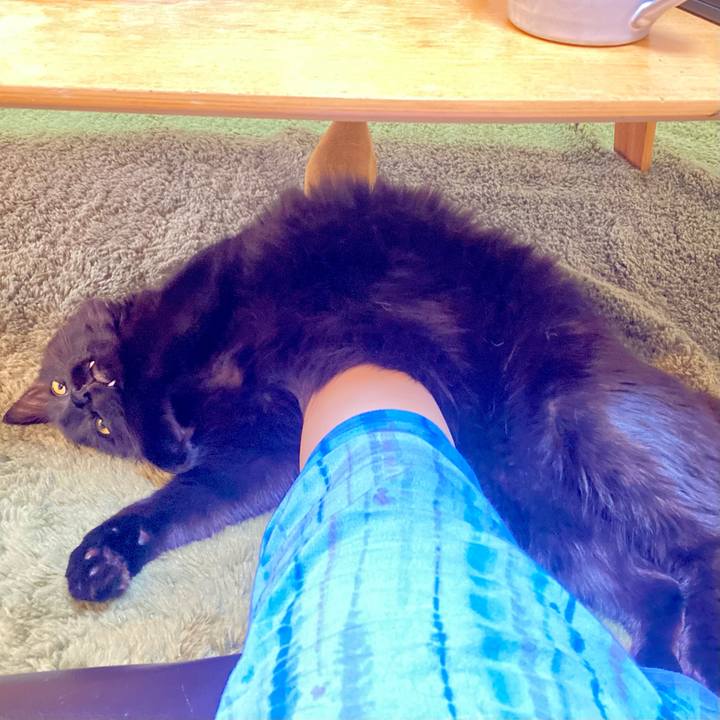 F54ea922 9bc0 4fcd a877 80b5b5cf615f 1728116966349