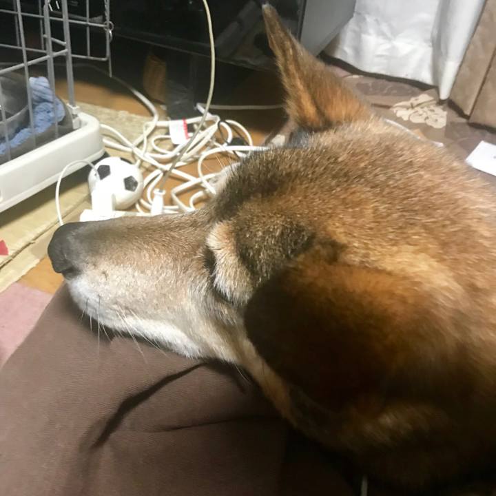 F54eb278 b758 4cd6 a898 af5a7ac6aa8e 1546166719288