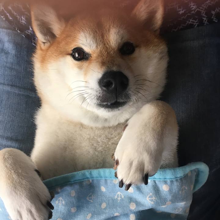 F54ed1fd 3cb1 44bc 8a91 aab0d0623042 1568513594073