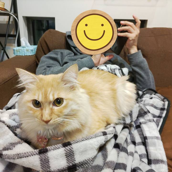 F54ed77f 2e54 47d1 8d03 7f8808cd44b7 1701606084036