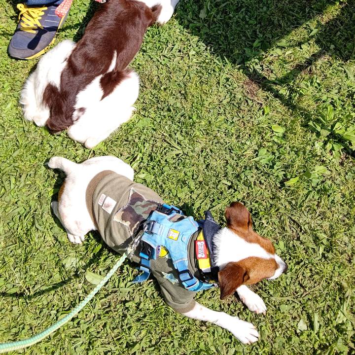 F54f0400 7dc4 4e8e 94d4 4c491fa626ef 1651674506962