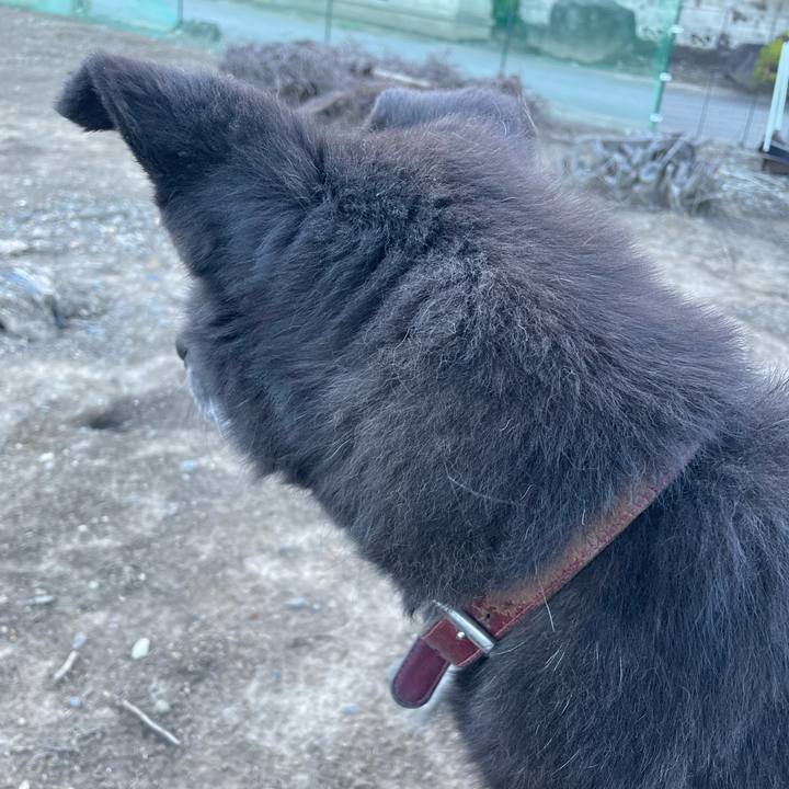 F54f3141 ef04 40e0 a96d b613ead25642 1717499354436