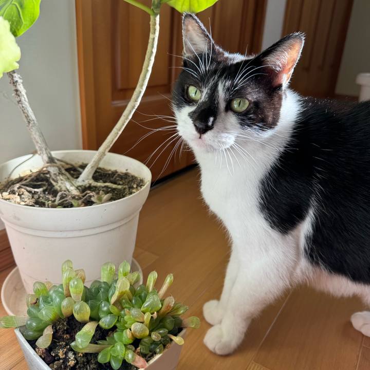 F54f3d64 7710 416b 9d76 f61aa8bf6ff9 1763774330818