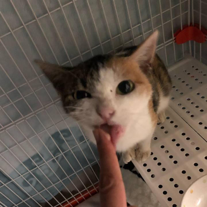 F54f5234 f103 42e9 8b81 b654c2b82e86 1571054519518