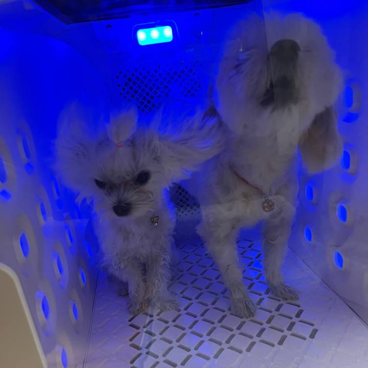 F54f920b a0eb 42fa 9312 3b41735691fa 1728026121487