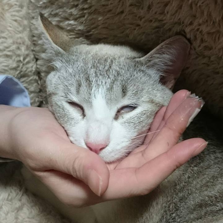 F54f9609 db1e 4fa6 afb9 9683a689dfc9 1530588857823