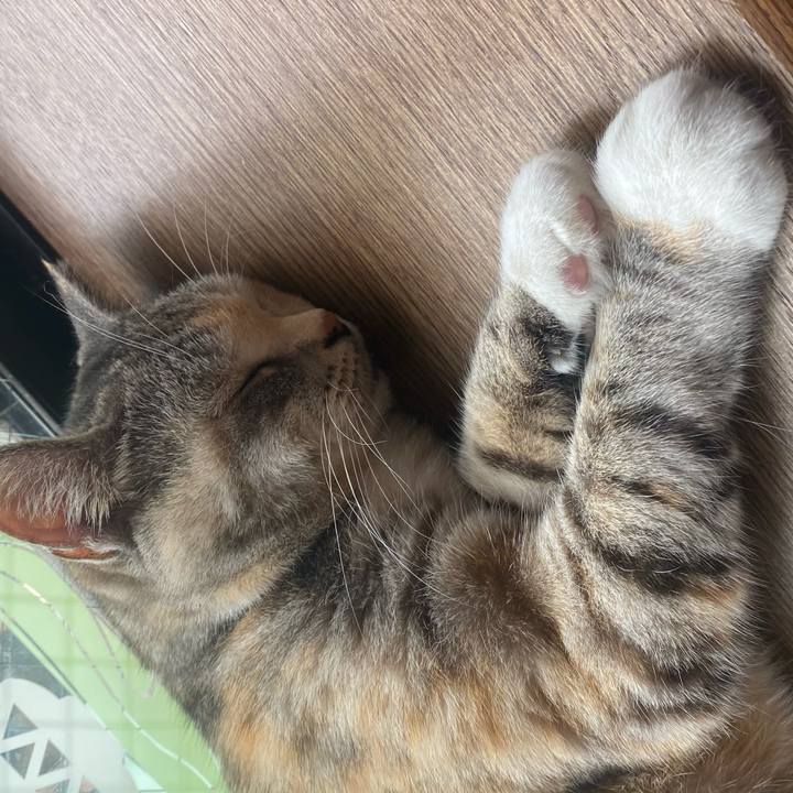 F54faa72 9332 47f3 b128 aca54f24e7af 1622898361344