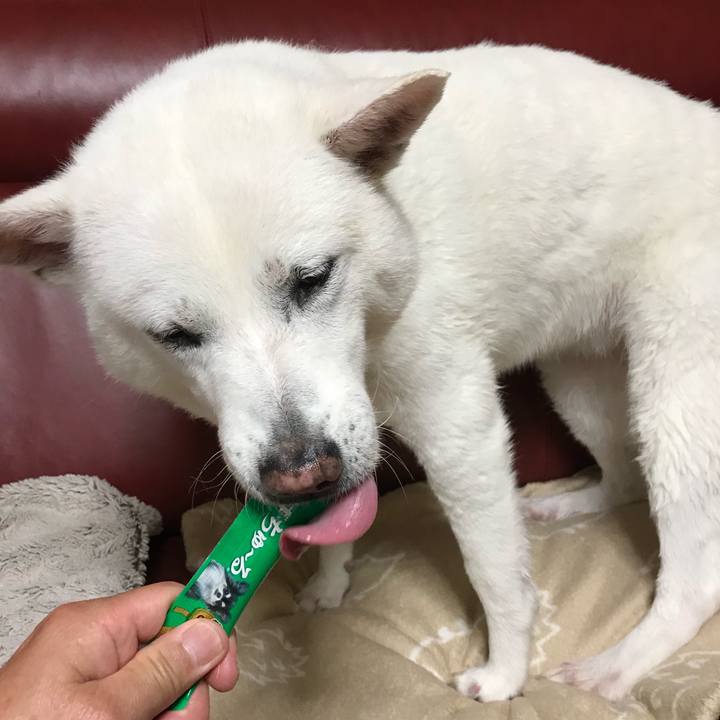 F54fb3eb 7159 4e7c a5ad 3681ae9457f2 1556772707857