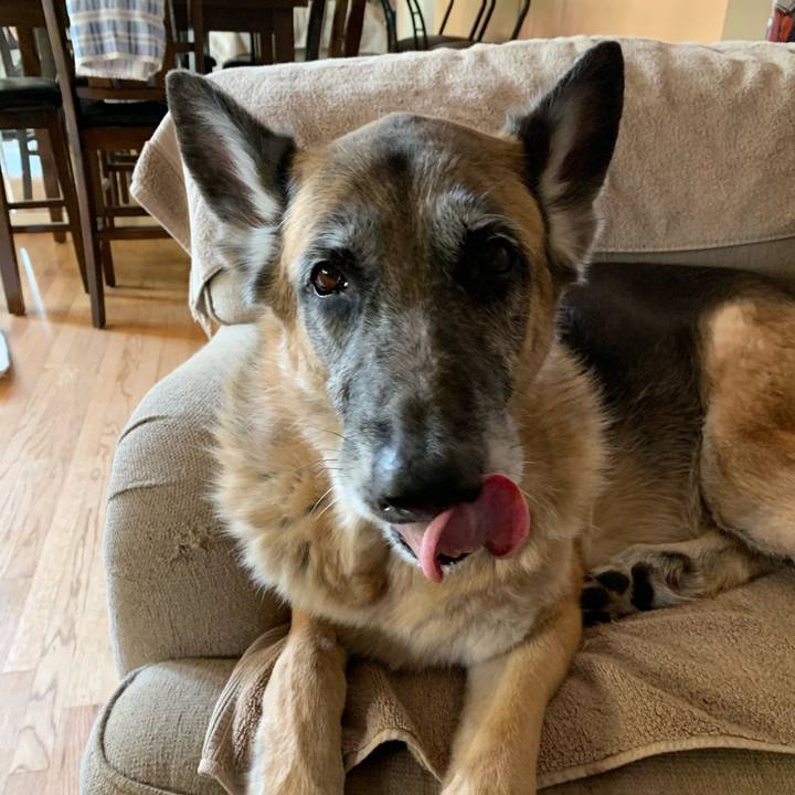 F5503979 6515 48d4 9a41 4b524bb9dc0f 1584321527337