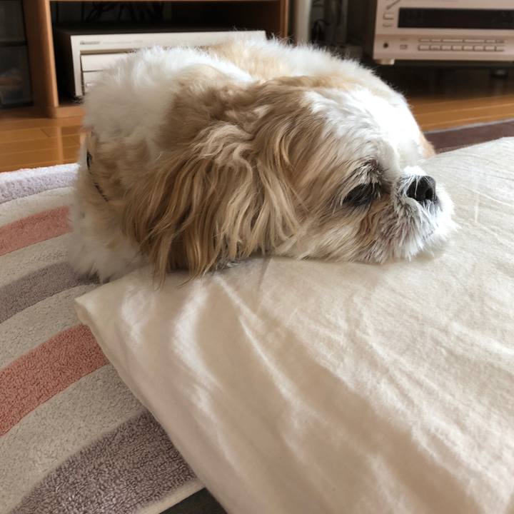 F55050c1 148a 4fd7 ab5e 863a2453bf7e 1600983900228