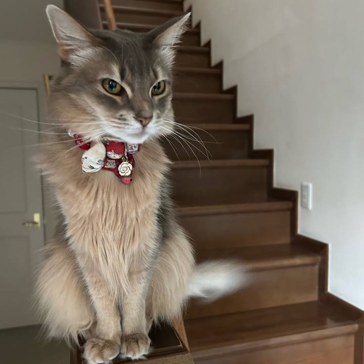 F5505106 88e6 40e0 91bd 4dc510fd06fe 1768830442555