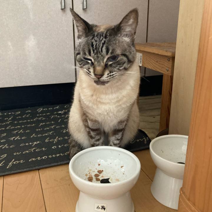 F5506893 5d2c 40f2 9bc8 4c7cbd7483e0 1755560455534