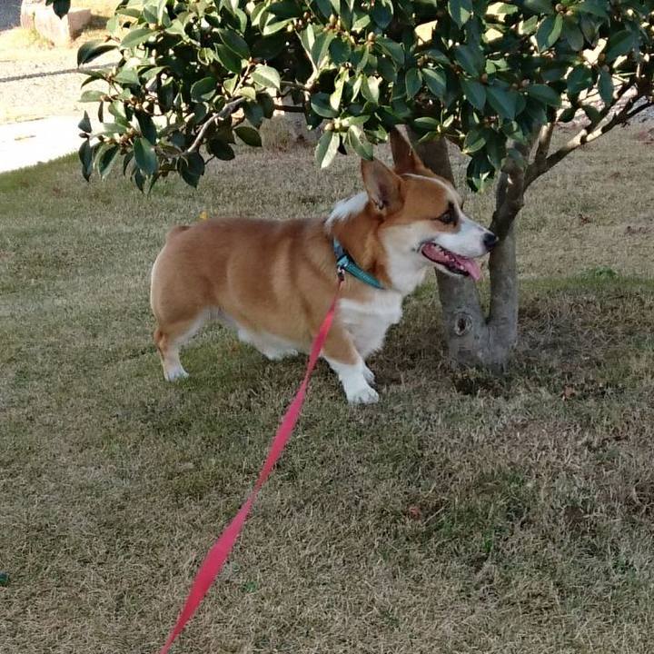 F5508339 fa25 4a04 b817 ee56b42be734 1609035928576