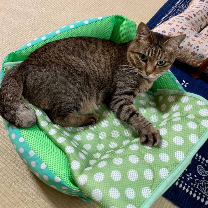 F550cdd4 556f 43d5 b9bc cabeb039c96a 1560818898759