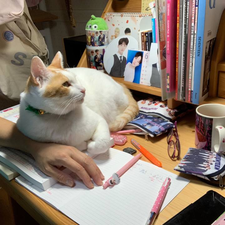 F550d424 448a 426a 92ee 30991520b6e9 1560693205089