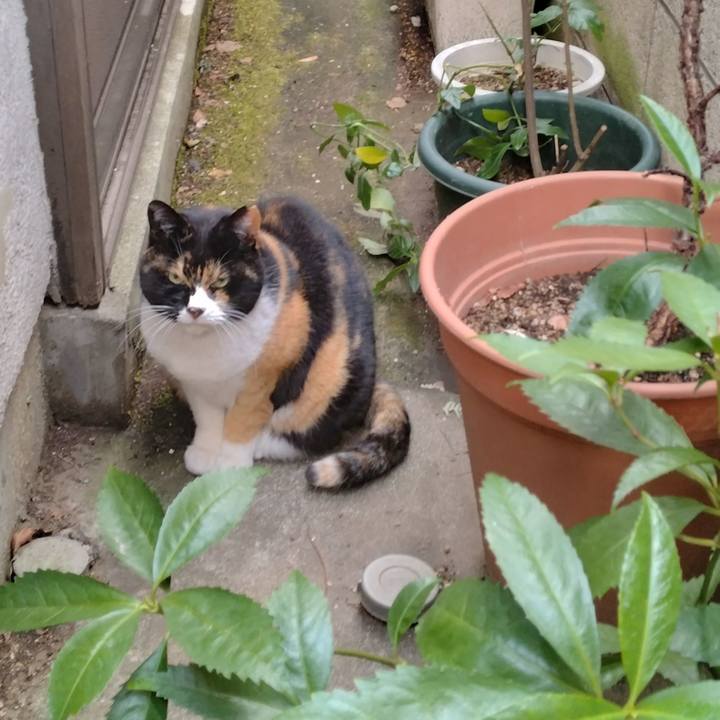 F550e523 1934 4736 9a77 c8d490a2eb1c 1705999082250