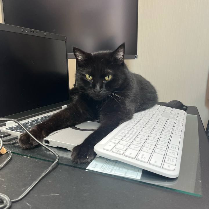 F5511722 ec69 4876 9947 6367a60a96b3 1722866300816