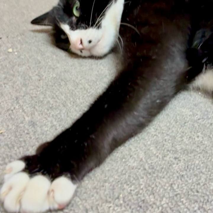 F55118d7 a709 4208 906b 9c0b55e93d1d 1760839138257