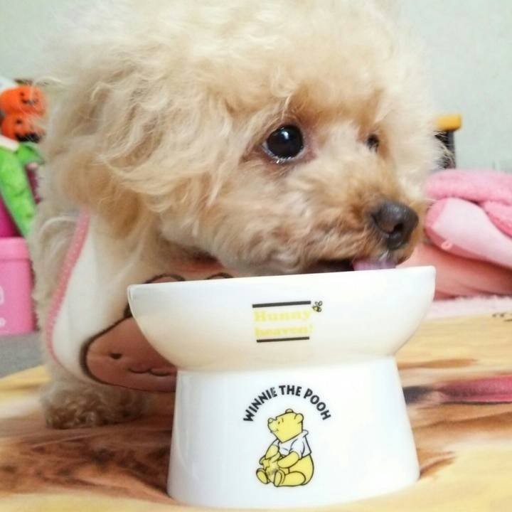 F5513a19 368b 438f 8d6c 9e021f261f0d 1539407631239