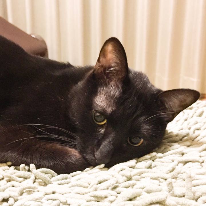 F55158bd 3de6 4298 934e 401b52793c54 1522769126895