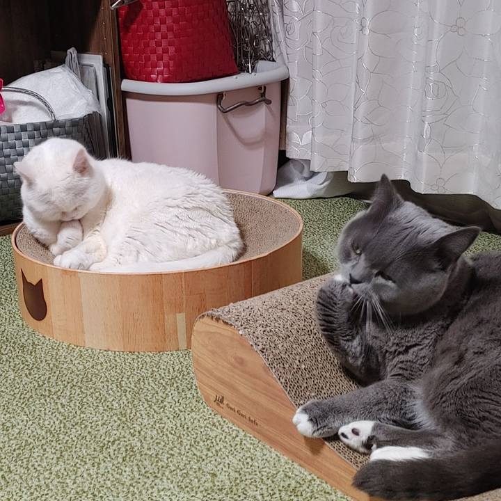 F551b75a b126 4bde 8f10 5f31380cd059 1673786032037