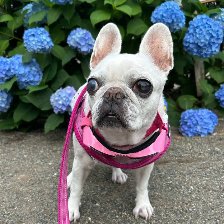 F551d3f2 15f1 409c 8b70 83f4da1540bb 1749269935839