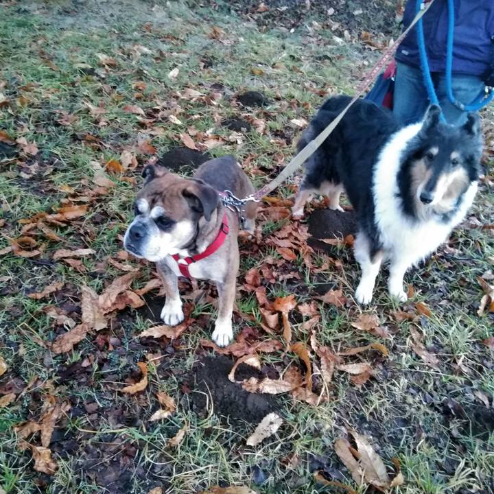 F551e11b 8a4b 4611 a22d dfc1d259c5a6 1514189790787