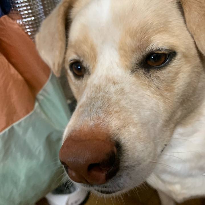 F551e3e5 5979 4ed7 a05e dd5176151c00 1555904589902