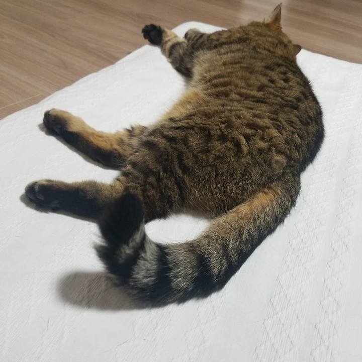 F551e556 fd2b 456d a3c5 67662a349160 1580127028198