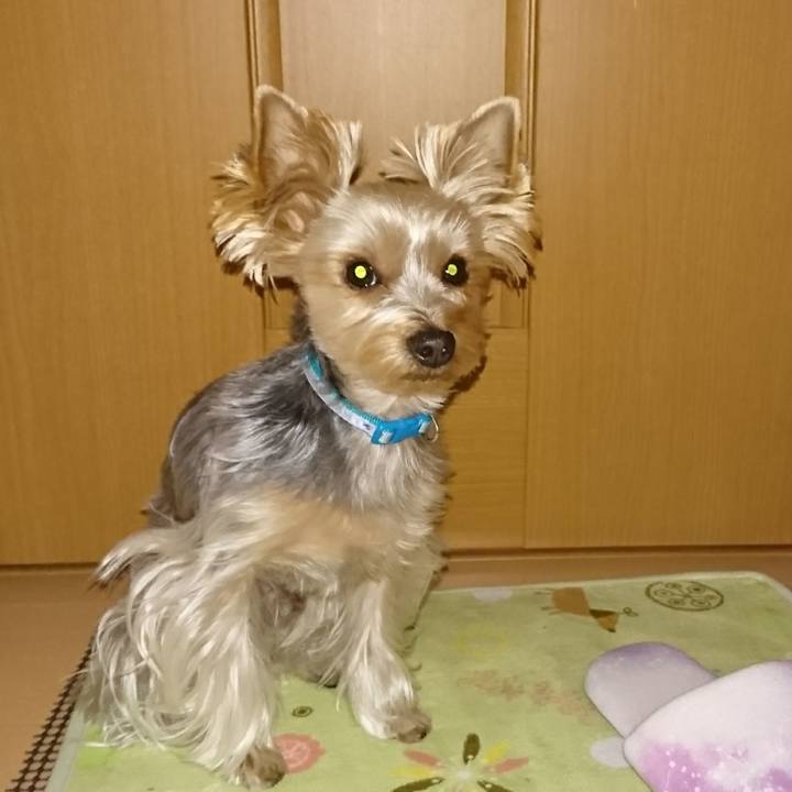 F5524371 c950 42d0 b029 c042d5c76e18 1512346772088